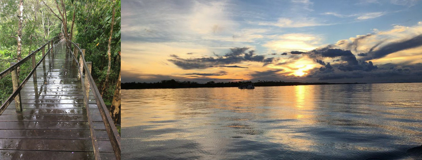 Coucher de soleil sur le Rio Negro