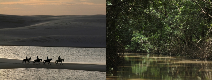 Désert et delta d'Iguapé