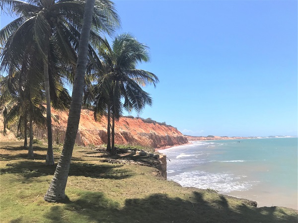 Cocotiers sur la plage