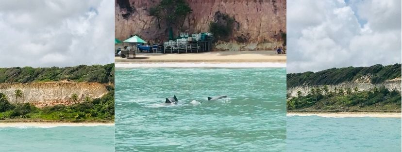 Baia dos Golfinhos